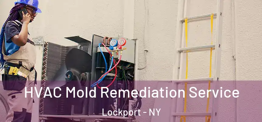  HVAC Mold Remediation Service Lockport - NY