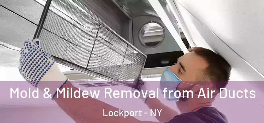  Mold & Mildew Removal from Air Ducts Lockport - NY