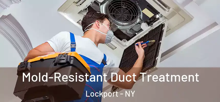  Mold-Resistant Duct Treatment Lockport - NY