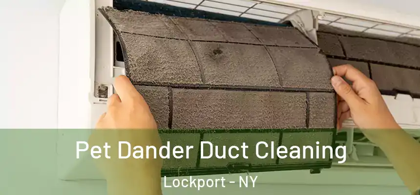  Pet Dander Duct Cleaning Lockport - NY