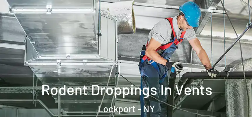  Rodent Droppings In Vents Lockport - NY
