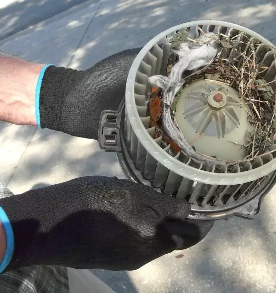 About Air Duct Rat Removal in Lockport, NY