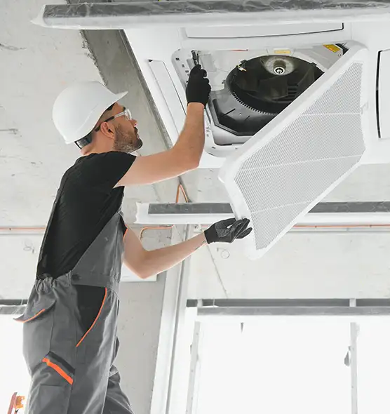 About Air Duct Rodent Removal in Lockport, NY