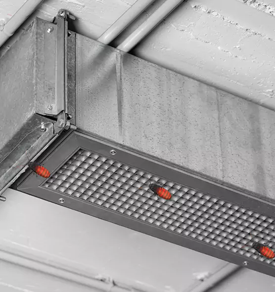 Affordable Insect Removal from Air Ducts in Lockport, NY